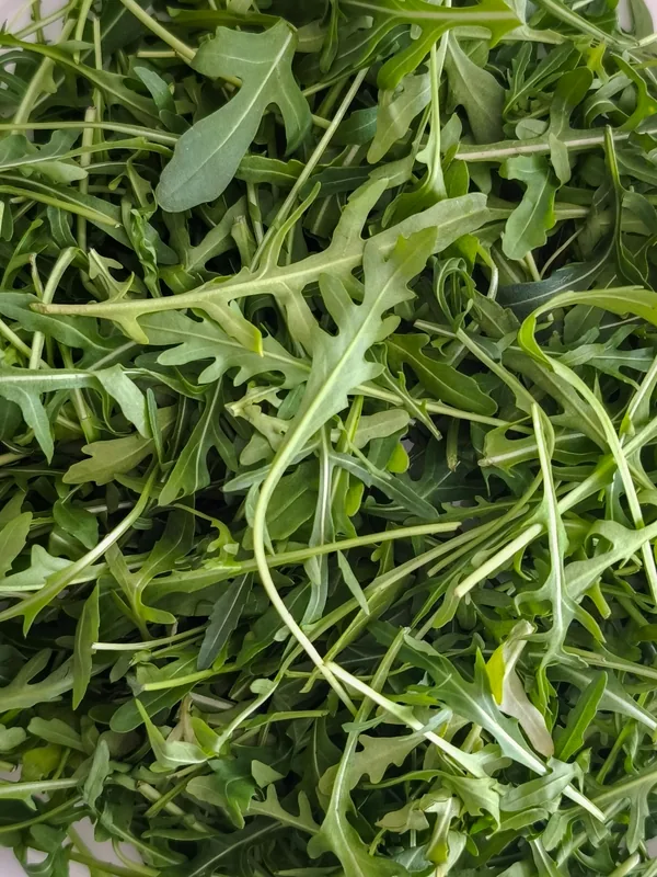 Arugula Extract