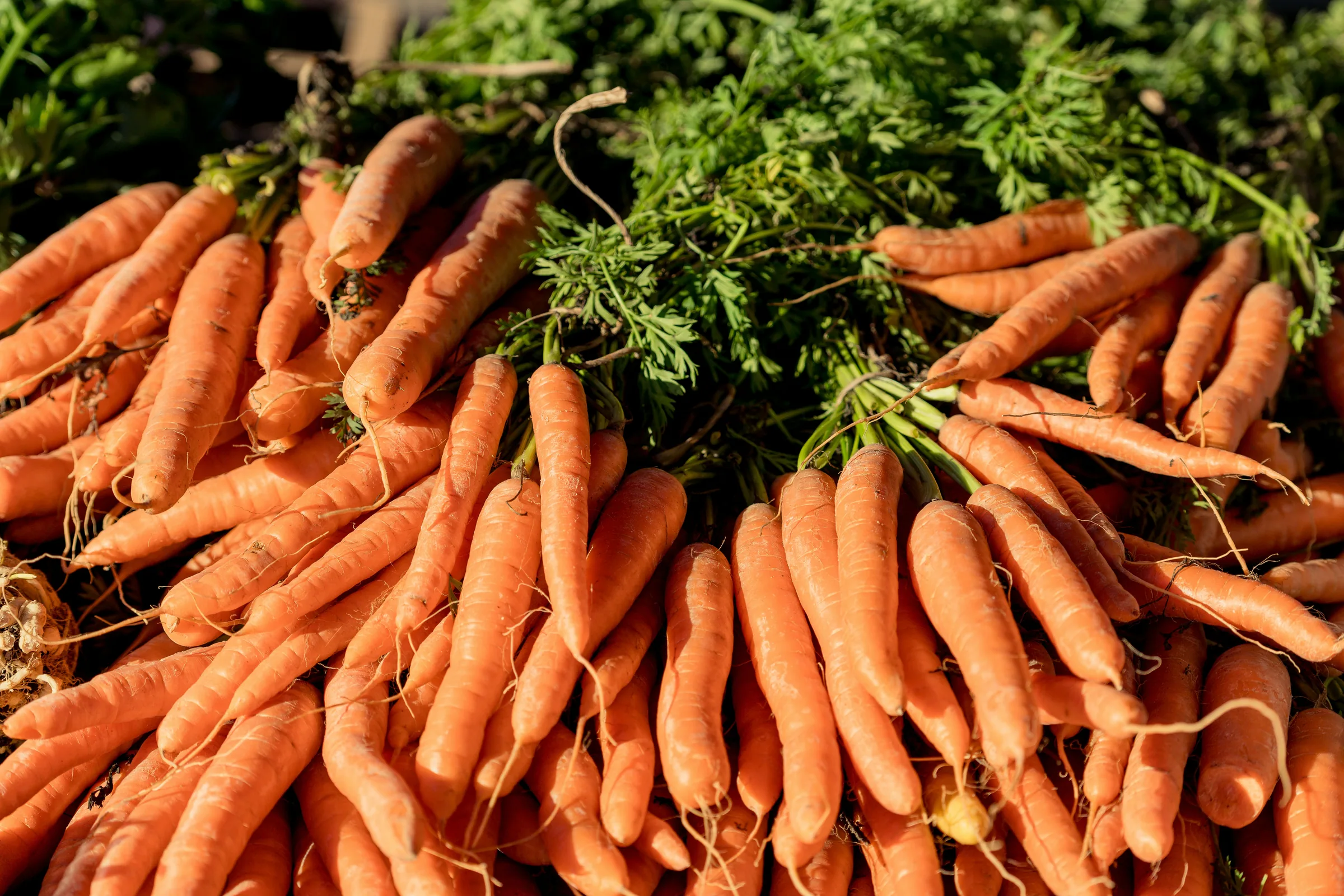 Beta-Carotene