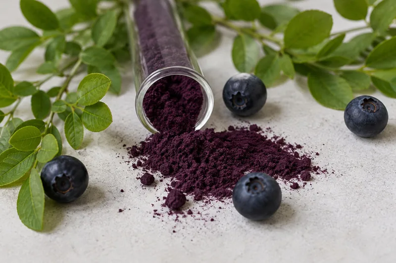 Bilberry extract