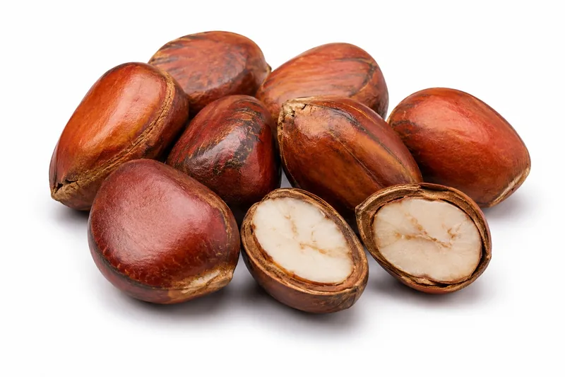 Cola Nut