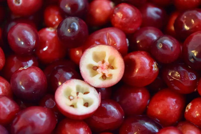 Cranberry Extract