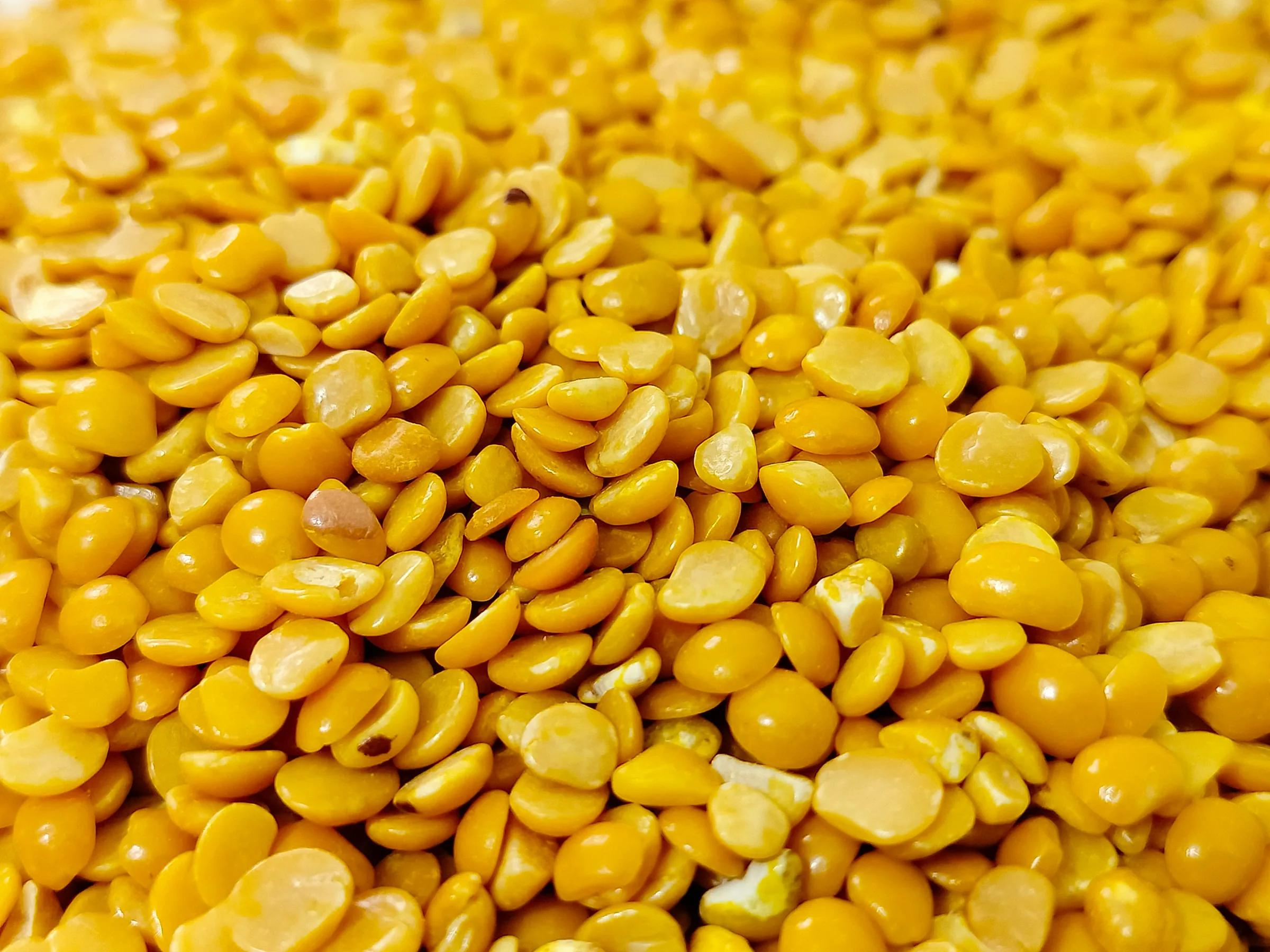 Folate (Vitamin B9 / 5-MTHF)