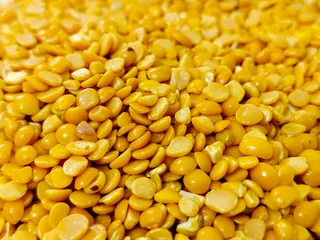 Folate (Vitamin B9 / 5-MTHF)