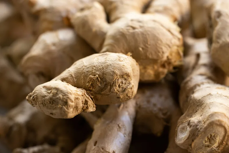 Ginger Root Extract