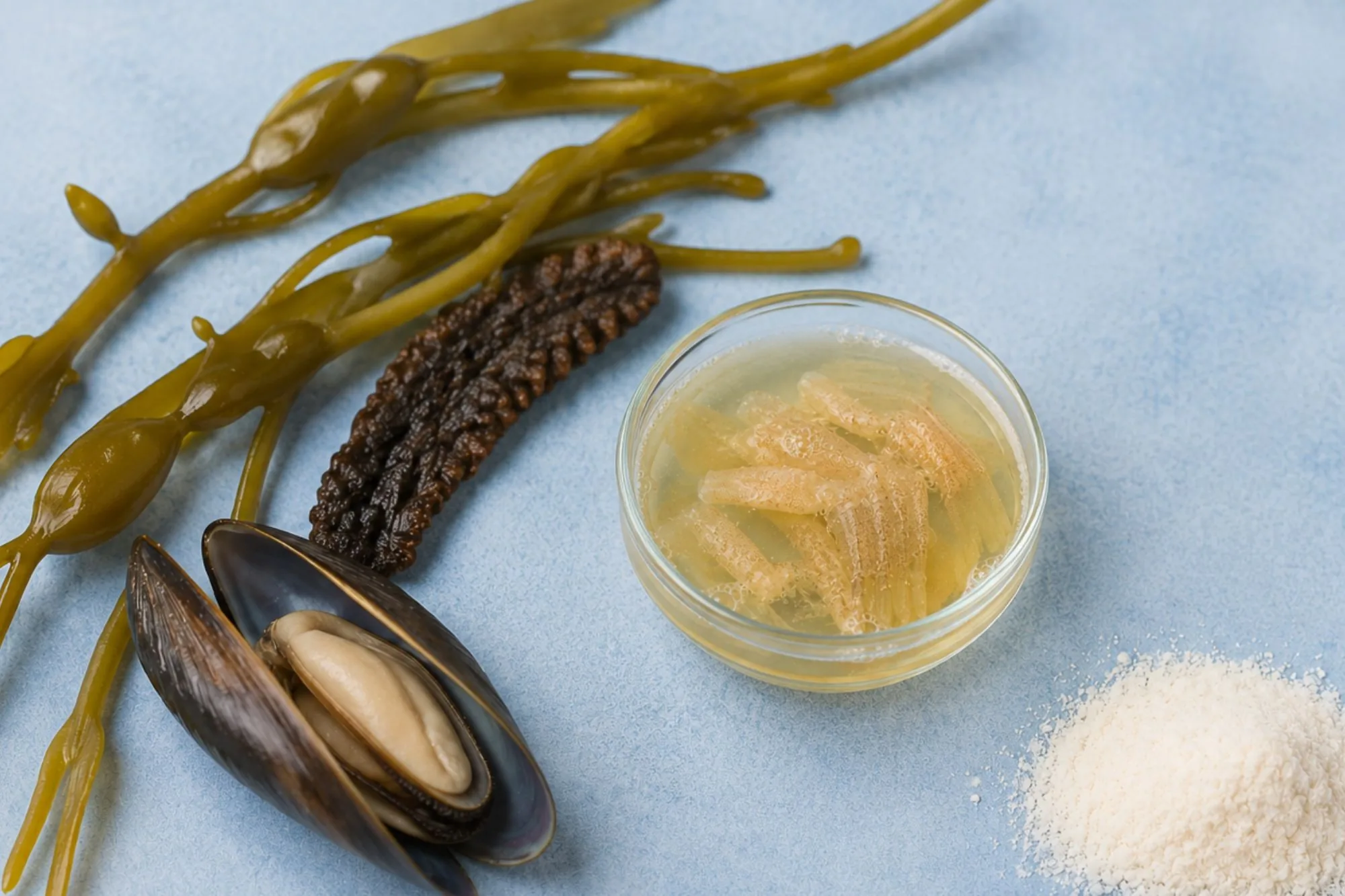 Glucosamine Sulfate