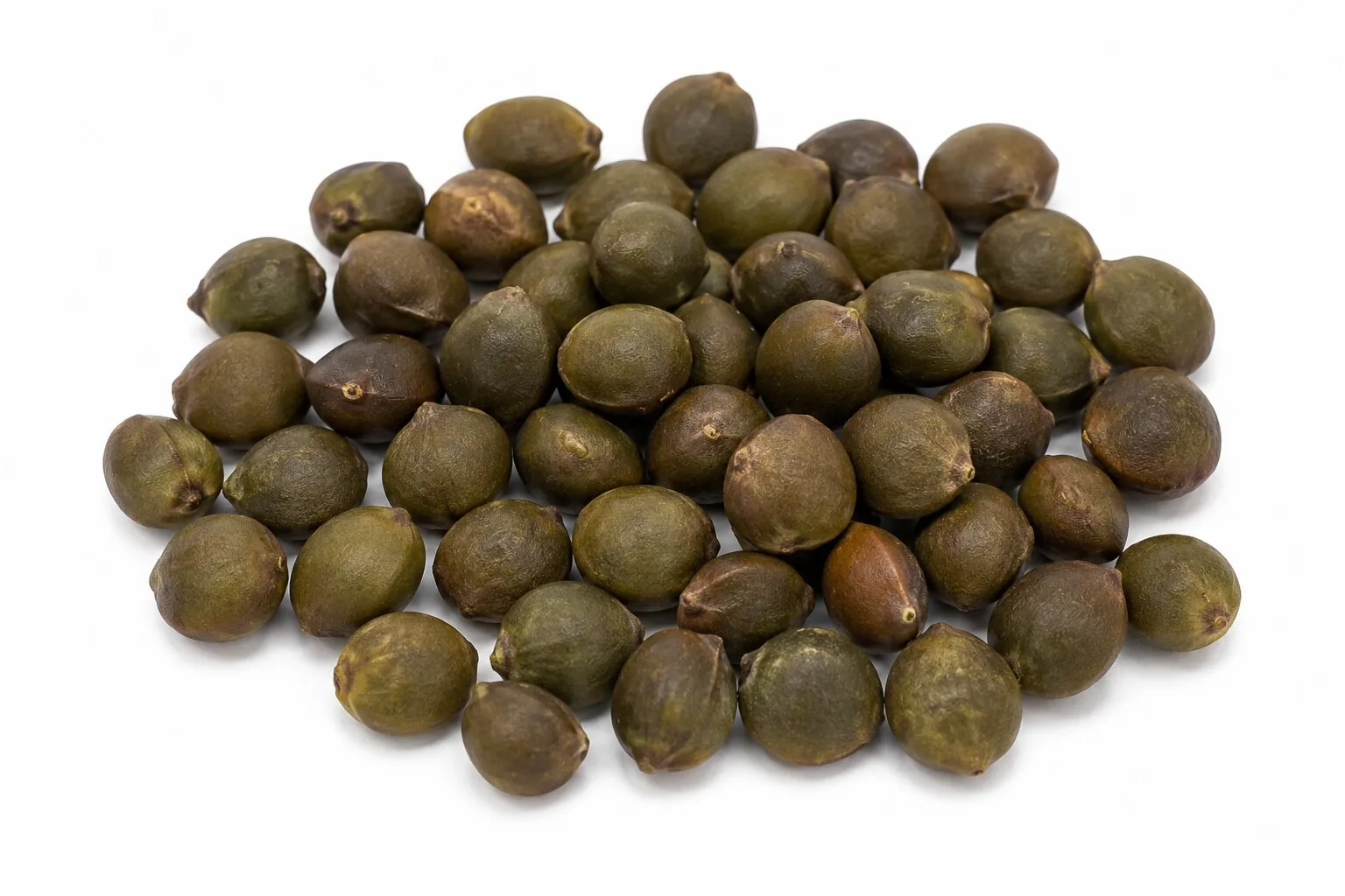 Green Tea Seed Oil