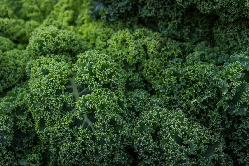 Kale