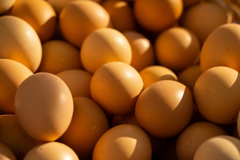 Vitamin B2 (Riboflavin)