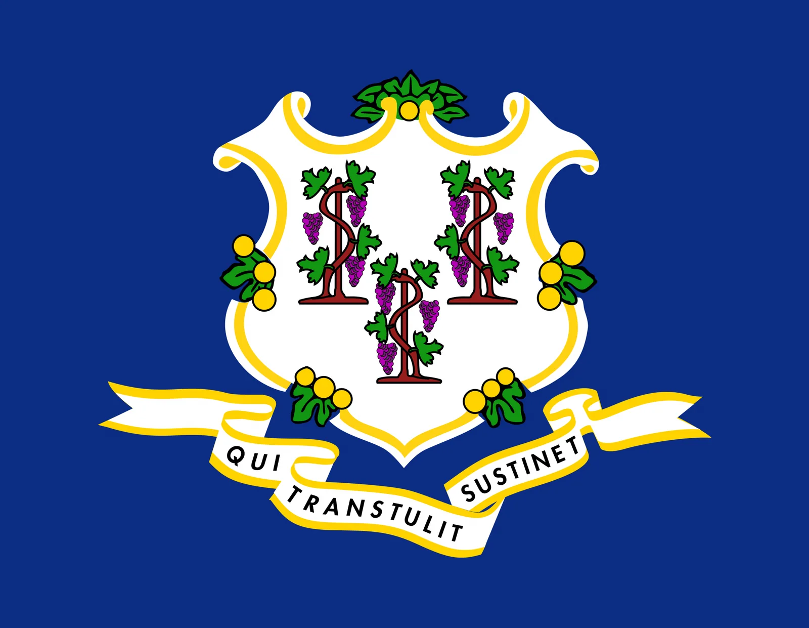 DAT Supply — private-label gummy manufacturing for Connecticut brands