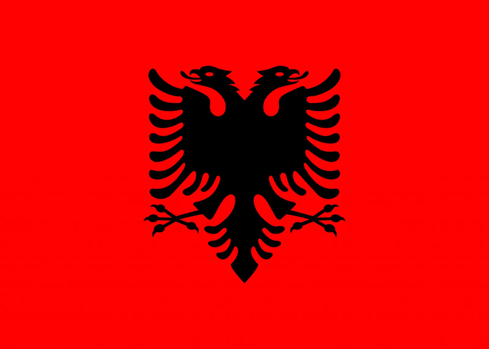 Private-label gummy launch — Albania